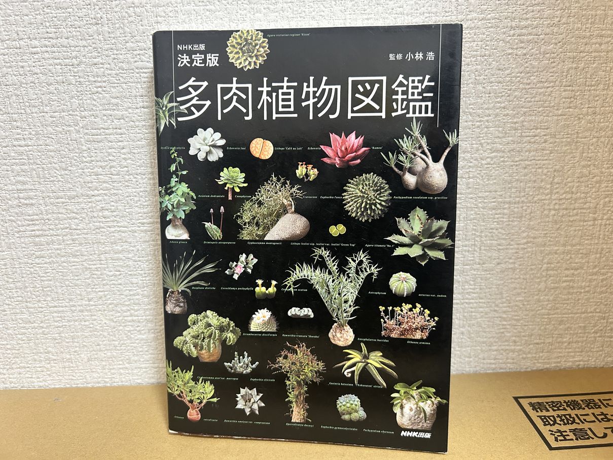 多肉植物図鑑