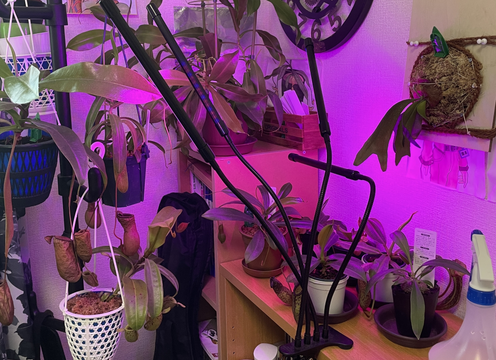 ビザプラ植物園の栽培環境