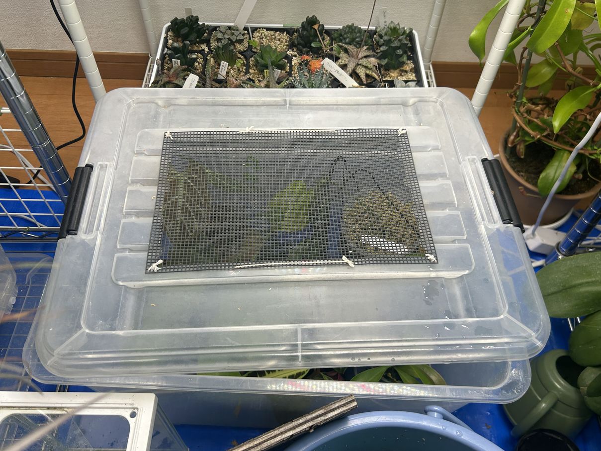 ビザプラ植物園の栽培環境