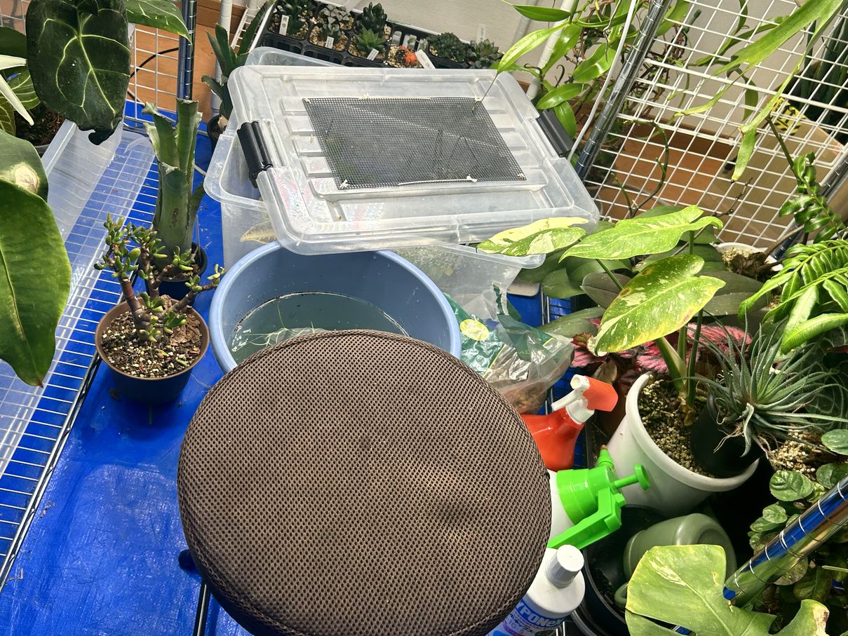 ビザプラ植物園の栽培環境