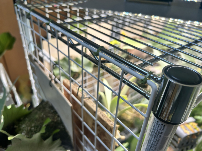 ビザプラ植物園の栽培環境